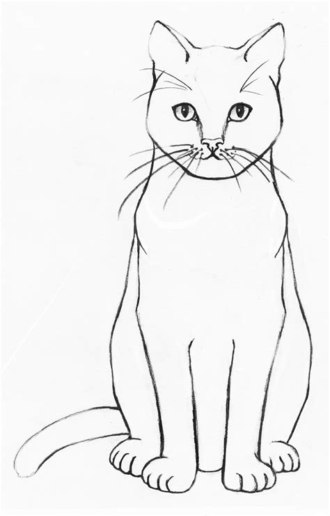 cat draw easy|simple cat drawing outline.